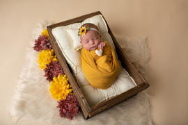 Newborn Studio Props SET Mattress and Pillow - Solid Bone Review