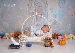 Newborn Studio Props Wire Pumpkin Carriage - Model 3 Review