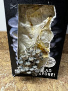 North Spore Organic Blue Oyster ‘Spray & Grow’ Mushroom Growing Kit Review