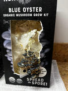 North Spore Organic Blue Oyster ‘Spray & Grow’ Mushroom Growing Kit Review