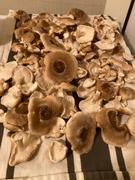 North Spore Organic Shiitake Mushroom Grow Kit Fruiting Block Review