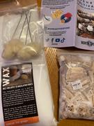 North Spore Organic Golden Oyster Mushroom Plug Spawn Review