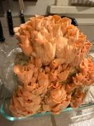 North Spore Organic Pink Oyster Mushroom Grow Kit Fruiting Block Review