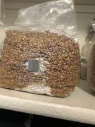 North Spore 8-Pack Organic Sterilized Grain Spawn Bags Review
