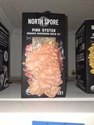 North Spore 3-Pack Organic Oyster ‘Spray & Grow’ Mushroom Kit Bundle Review