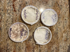 North Spore Pre-Poured Sterile Agar Plates Review