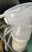 Pumpables Liquid Seal Diaphragms Review