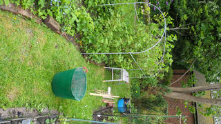 Agriframes Elegance Long Fruit Cage Review