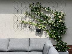 Agriframes Lattice Wall Trellis Review