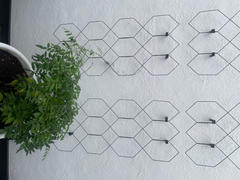 Agriframes Lattice Wall Trellis Review