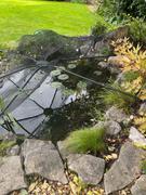 Agriframes Universal Pond Cover Review