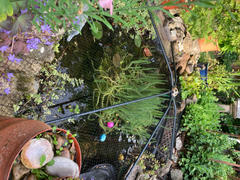 Agriframes Universal Pond Cover Review
