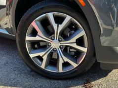 Dr. Beasley's Microfiber Applicator (2-Pack) Review