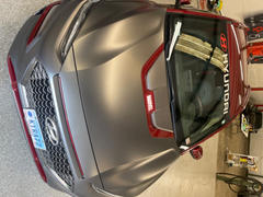 Dr. Beasley's Matte Paint Prescription Review