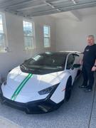 Dr. Beasley's Microsuede Protection Review