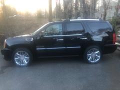Dr. Beasley's AdvanceCoat: Gloss Review