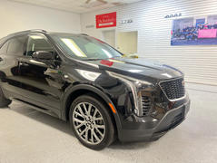 Dr. Beasley's NSP 95 Review