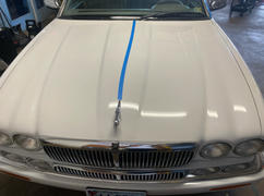 Dr. Beasley's NSP 95 Review