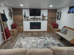 touchstonehomeproducts.com Forte Steel Mesh Screen Non Reflective 40 Inch Recessed Electric Fireplace 80048 Review