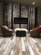 touchstonehomeproducts.com The Sideline 50 Inch Recessed Smart Electric Fireplace 80004 Review