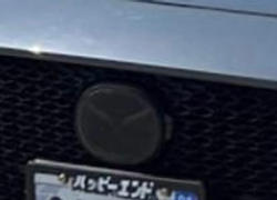Lamin-x Universal Emblem Cover Review