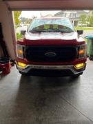 Lamin-x Ford F-150 (2021-2023) Fog Light Covers Review