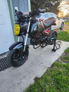 Lamin-x Honda Grom (2022+  ) Headlight Covers Review