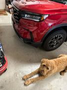 Lamin-x Honda Pilot (2023+  ) Headlight Covers Review
