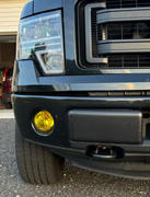 Lamin-x Ford F-150 (09-14) Fog Light Covers Review