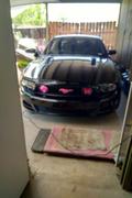 Lamin-x Ford Mustang GT (13-14) Fog Light Covers Review