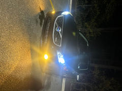 Lamin-x Volvo C30 (11-13) Fog Light Covers Review