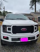 Lamin-x Ford F-150 (09-14) Headlight Covers Review