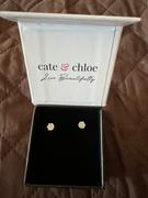 Cate & Chloe Remy 18k White Gold Plated Crystal Stud Earrings with Heart Accents Review