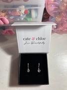 Cate & Chloe Georgia 18k White Gold Plated Hoop Dangle Earrings with Crystals Review