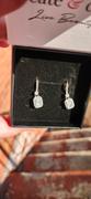 Cate & Chloe Athena 18k White Gold Plated Halo Drop Earrings with Dangling CZ Crystals Review