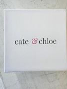 Cate & Chloe Ellee 18k White Gold Plated Stud Earrings with Simulated Diamond Crystals Review