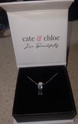 Cate & Chloe Nailea 18k White Gold Plated Pendant Necklace Review