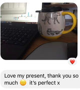 Wee Tea Company MANGO GREEN TEA Review