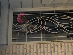 Mile High Pawducts Full Spectrum CBD Oil Review