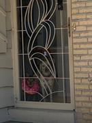 Mile High Pawducts Full Spectrum CBD Oil Review