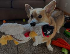 Mile High Pawducts Full Spectrum CBD Oil Review