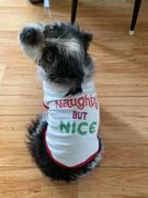 Mile High Pawducts Freeze Dried Beef Liver Treats Review
