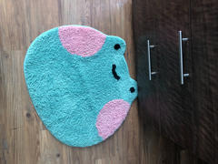 Shopzoki Ebbo Frog Rug Review