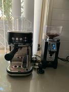 Alternative Brewing Eureka Mignon Specialita 55 Coffee Grinder Review