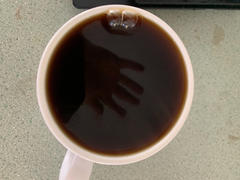 Alternative Brewing Kalita Wave Filters Review