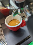 Alternative Brewing Victoria Arduino Eagle One Prima Coffee Machine Review
