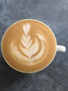 Alternative Brewing Nuova Simonelli Oscar II Coffee Machine Review