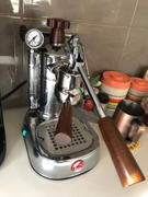 Alternative Brewing La Pavoni Professional PL Review