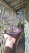 Alternative Brewing Hario V60 Plastic Dripper Review