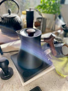 Alternative Brewing Fellow Corvo EKG Electric Kettle Review